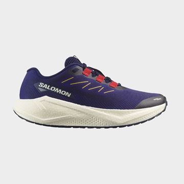 Picture of SALOMON - AERO BLAZE 3 GRVL